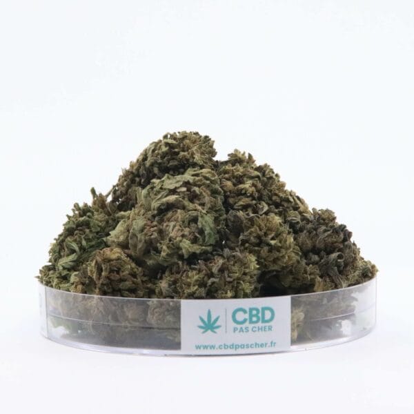 Sour Diesel – Image 37