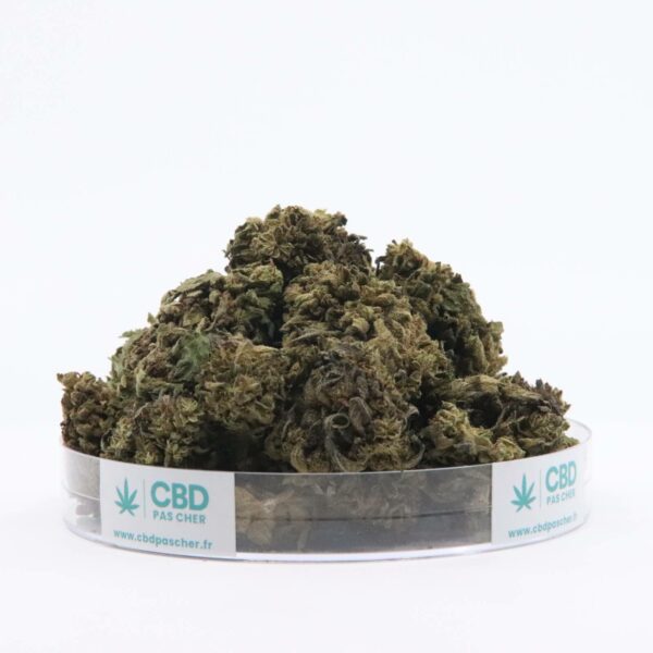 Sour Diesel – Image 43
