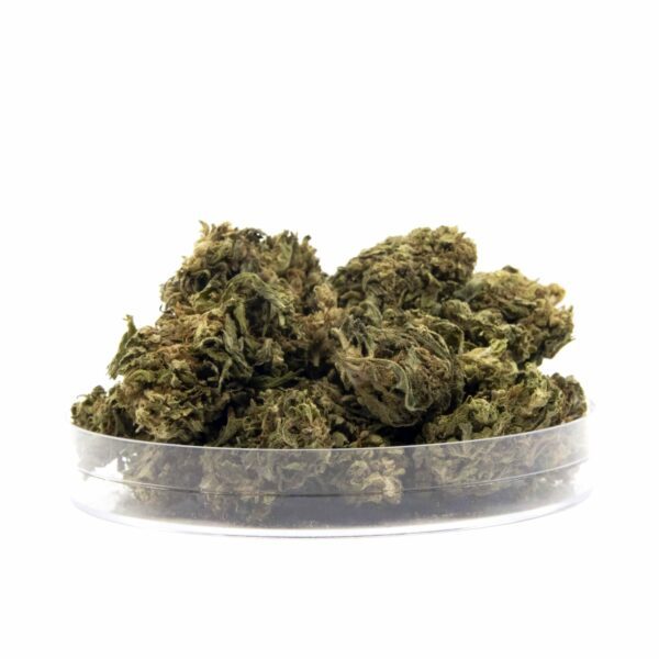 G13